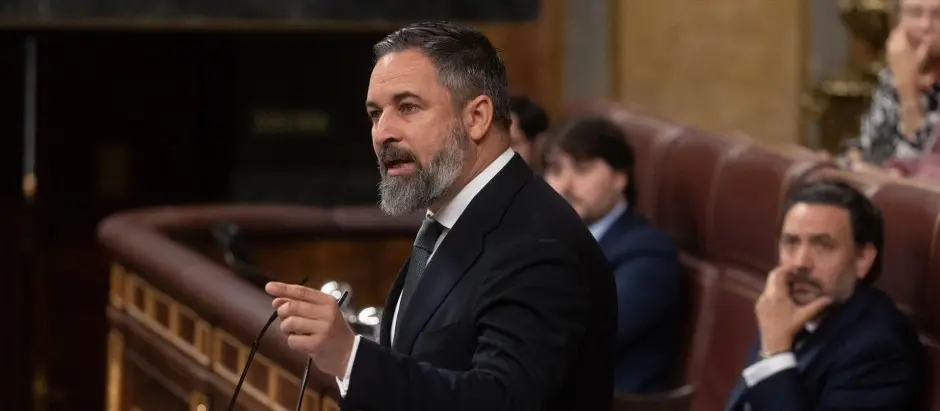 El l&iacute;der de VOX, Santiago Abascal, en un pleno en el Congreso de los Diputados./ Eduardo Parra
