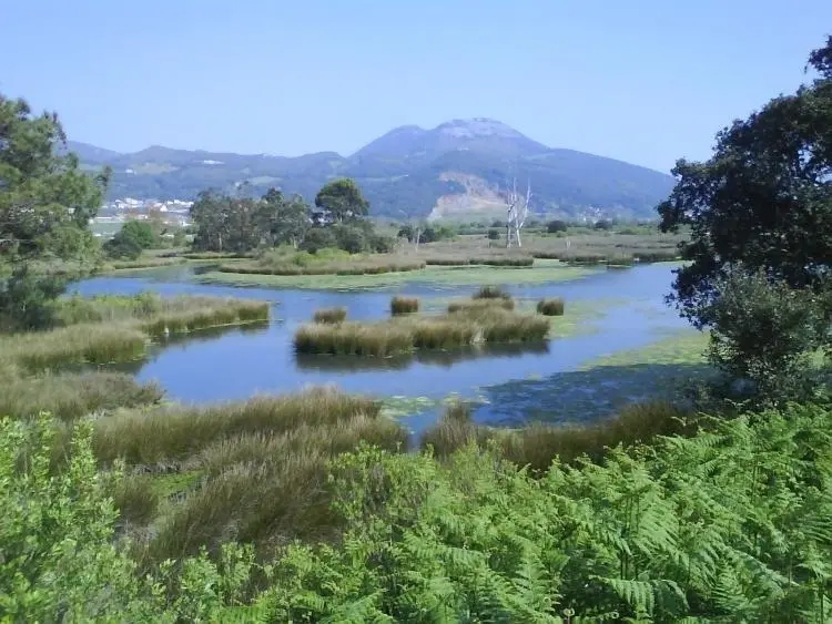 Marismas De Santo&ntilde;a. / Alerta