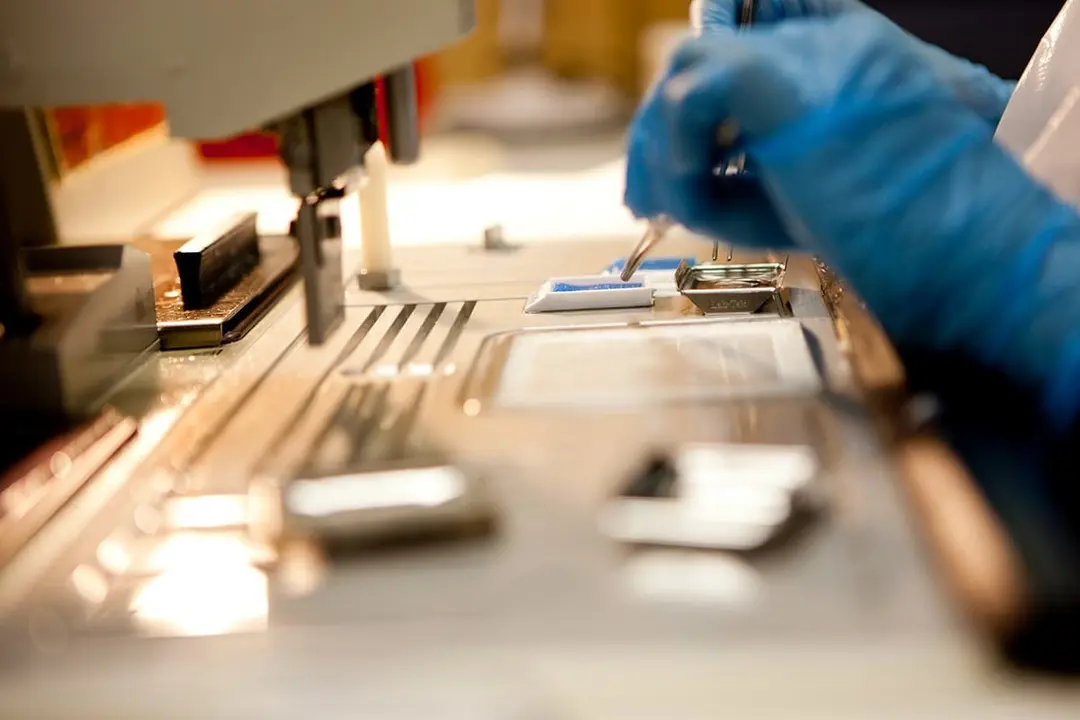 Imagen de trabajo en un laboratorio para la investigaci&oacute;n que estudiar&aacute; nuevas dianas terap&eacute;uticas para la diabetes tipo 2. EP