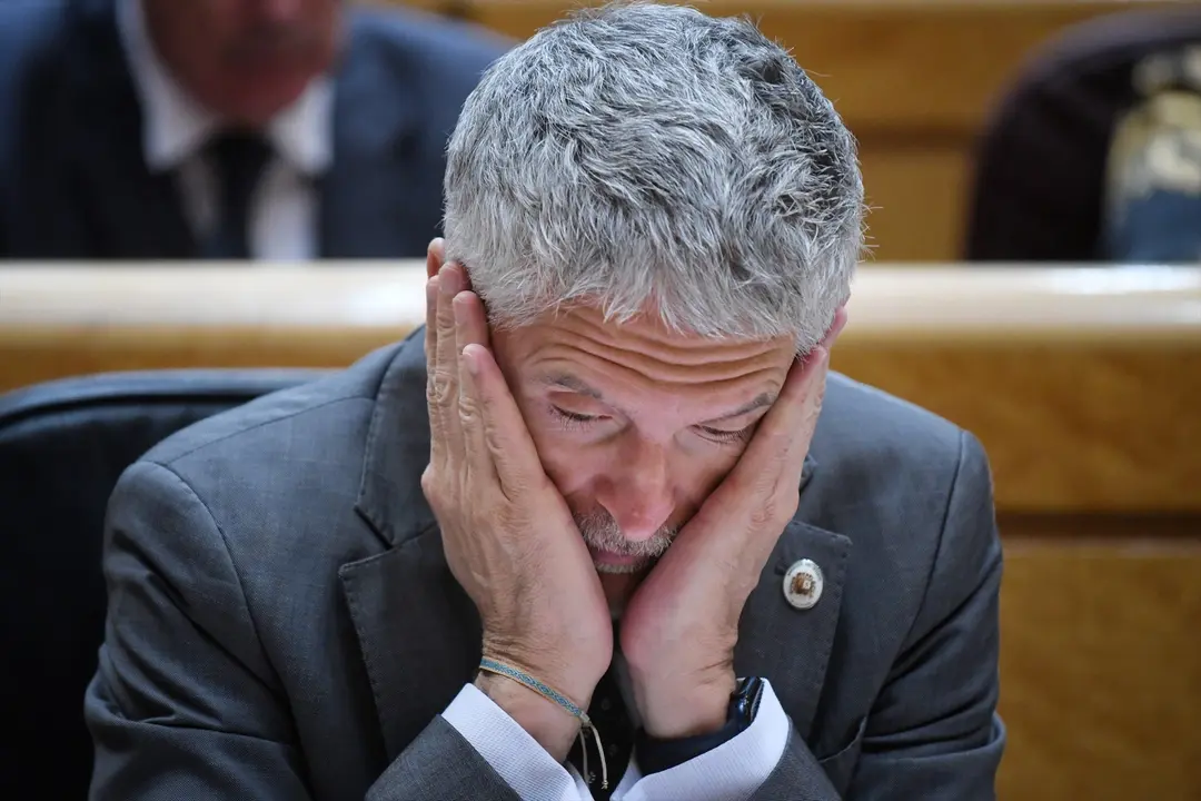 El ministro del Interior, Fernando Grande-Marlaska, durante una sesi&oacute;n de control al Gobierno. Fernando S&aacute;nchez