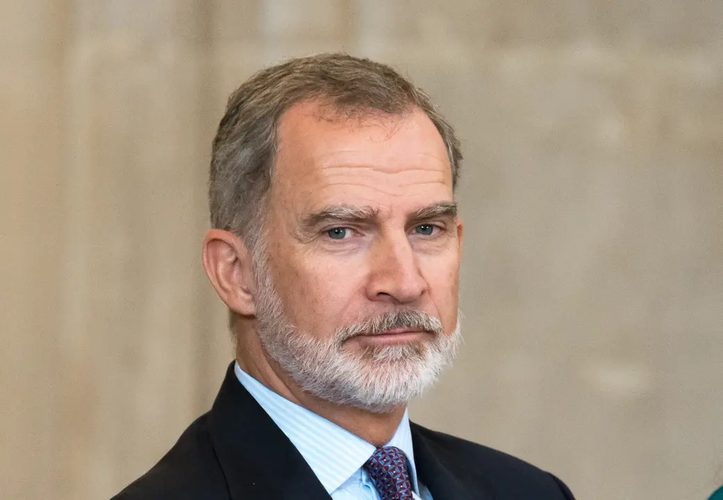 El Rey Felipe VI. / EP