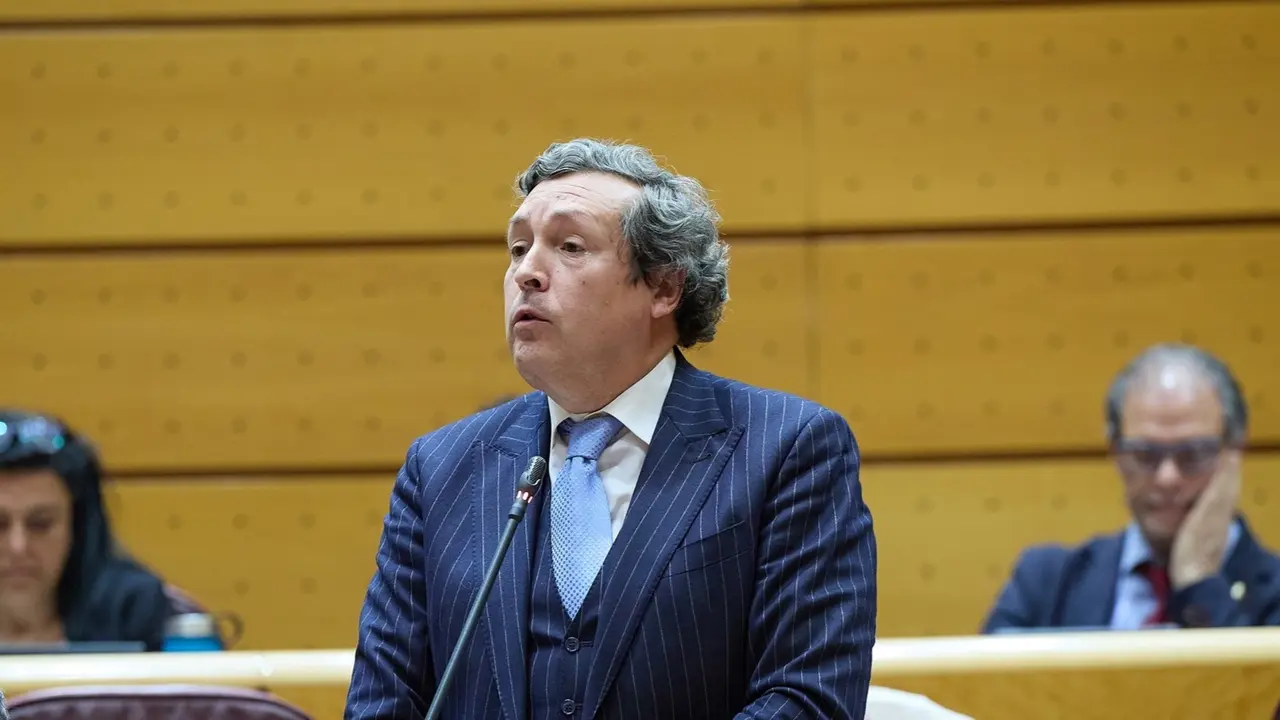El senador del PP, &Iacute;&ntilde;igo Fern&aacute;ndez Garc&iacute;a, durante una sesi&oacute;n plenaria en el Senado. Jes&uacute;s Hell&iacute;n / Archivo