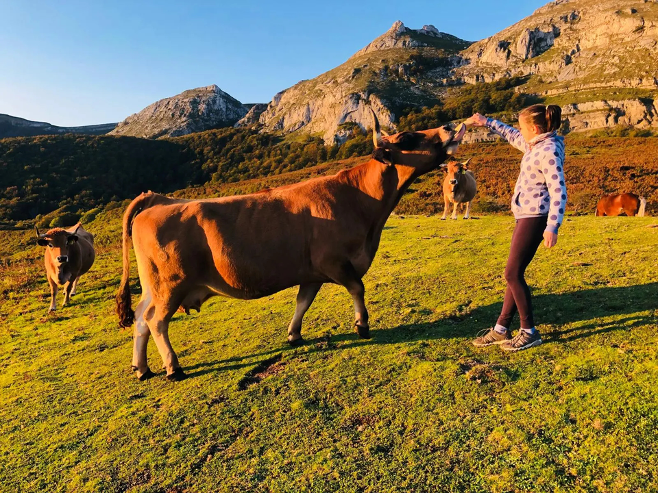 Una ni&ntilde;a con una vaca. / A.E