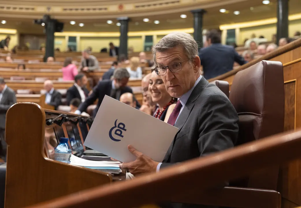 El presidente del Partido Popular, Alberto N&uacute;&ntilde;ez Feij&oacute;o. / EP