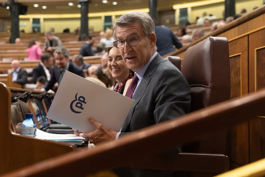El presidente del Partido Popular, Alberto N&uacute;&ntilde;ez Feij&oacute;o. Eduardo Parra / Archivo