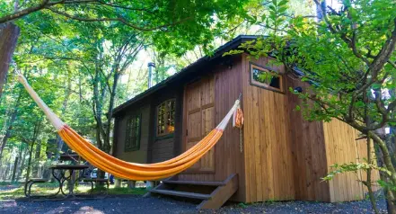 Un bungalow. / A.E
