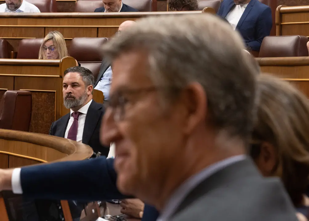 El l&iacute;der de VOX, Santiago Abascal y el presidente del Partido Popular, Albertu N&uacute;&ntilde;ez Feij&oacute;o. / EP