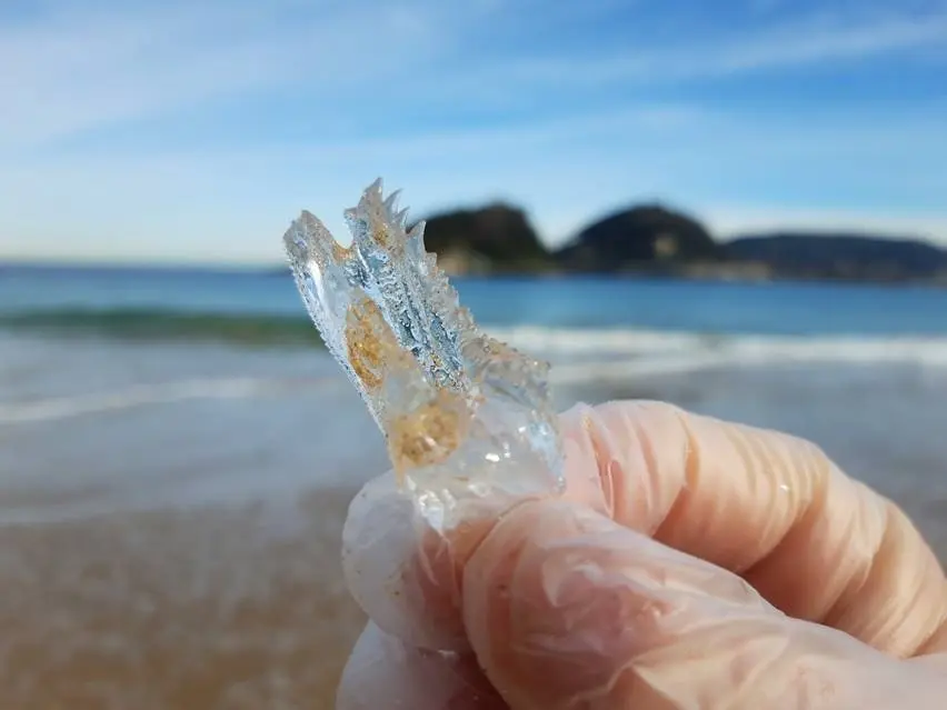 Salpas en la playa de la Concha, en San Sebasti&aacute;n. / EP