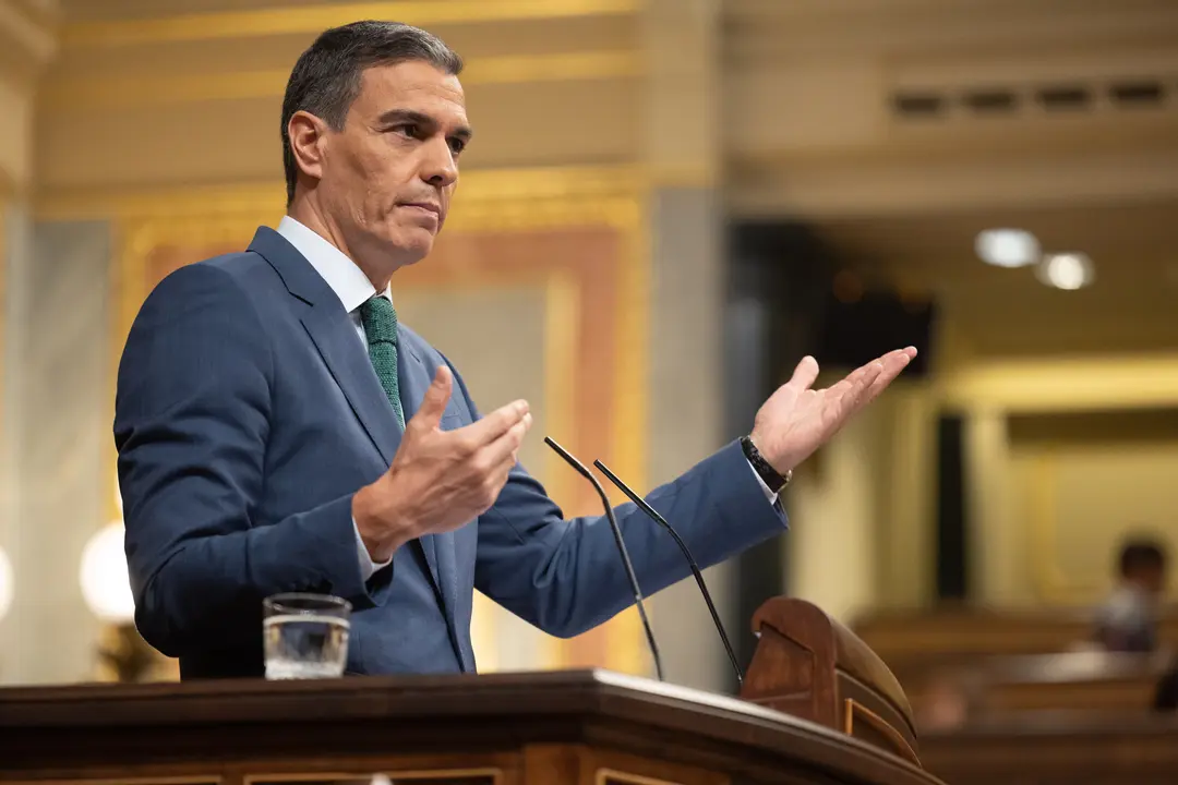 El presidente del Gobierno, Pedro S&aacute;nchez, interviene durante una sesi&oacute;n extraordinaria en el Congreso de los Diputados. / Eduardo Parra. / EP