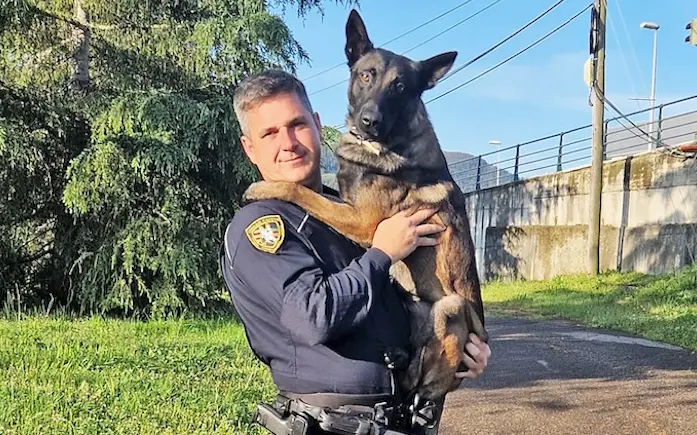 Pedro Cuadrado, Polic&iacute;a Local de Torrelavega, combina su profesi&oacute;n con su afici&oacute;n por entrenar perros. / ALERTA