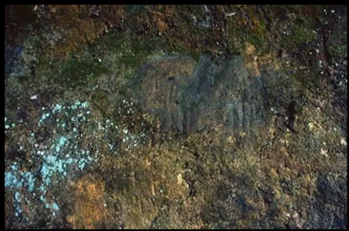 Cueva de Las Brujas, Suances. / A.E.