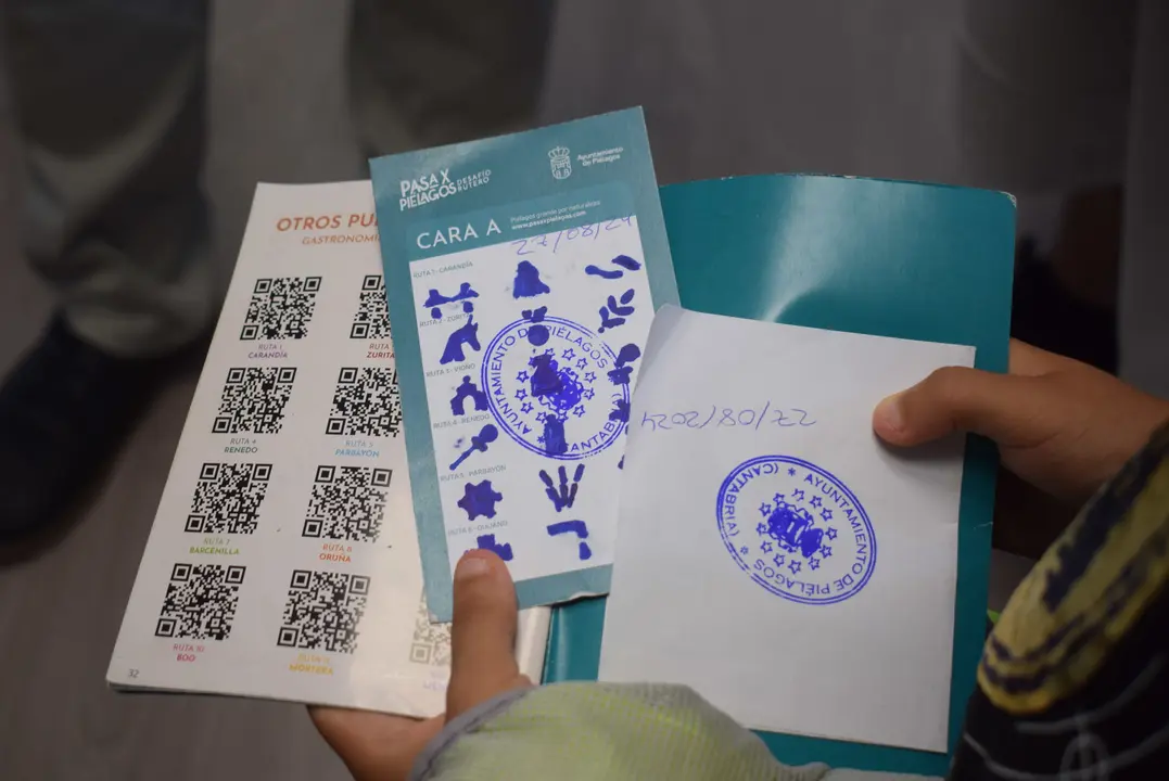 Los pictogramas Rde los primeros ruteros del desaf&iacute;o  #PasaxPielagos. / Alerta