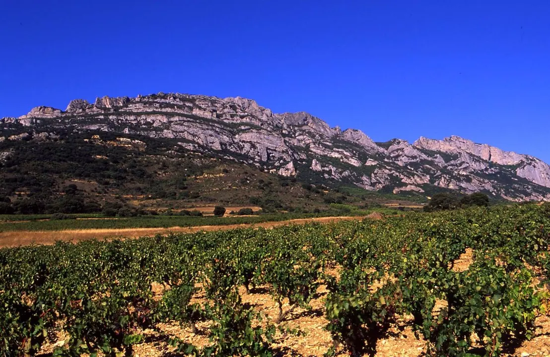 Sierra del Tolo&ntilde;o o Cantabria. / E.P.