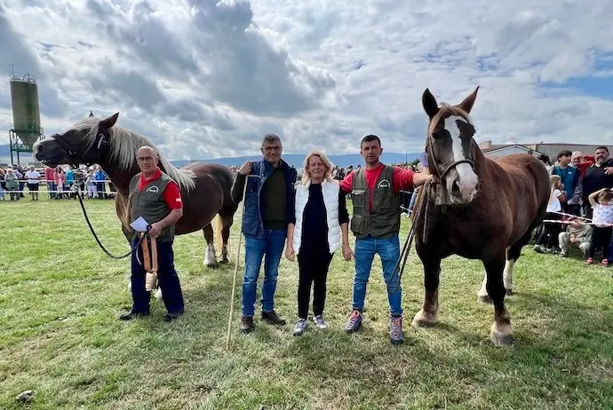 La consejera de Desarrollo Rural, Ganader&iacute;a, Pesca y Alimentaci&oacute;n, Mar&iacute;a Jes&uacute;s Susinos, asiste a la Feria de Ganado de San Mateo.