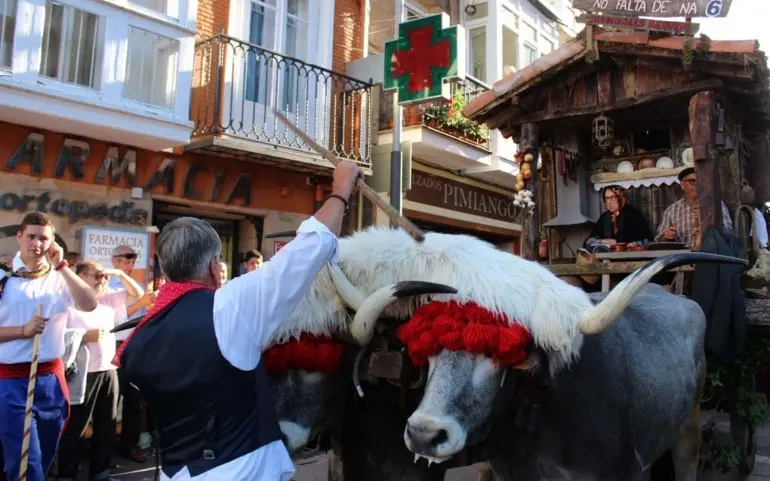 La carreta ganadora en el desfile del a&ntilde;o pasado. / Alerta
