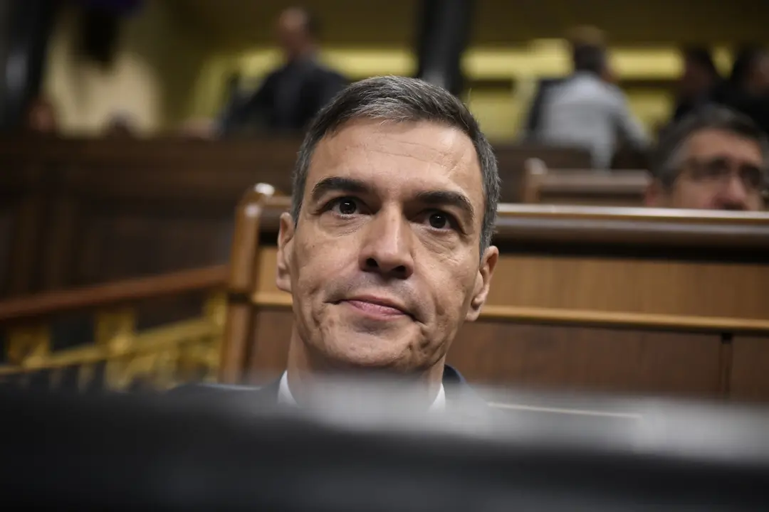 El presidente del Gobierno, Pedro S&aacute;nchez, durante una sesi&oacute;n de control al Gobierno, en el Congreso de los Diputados. / Fernando S&aacute;nchez
