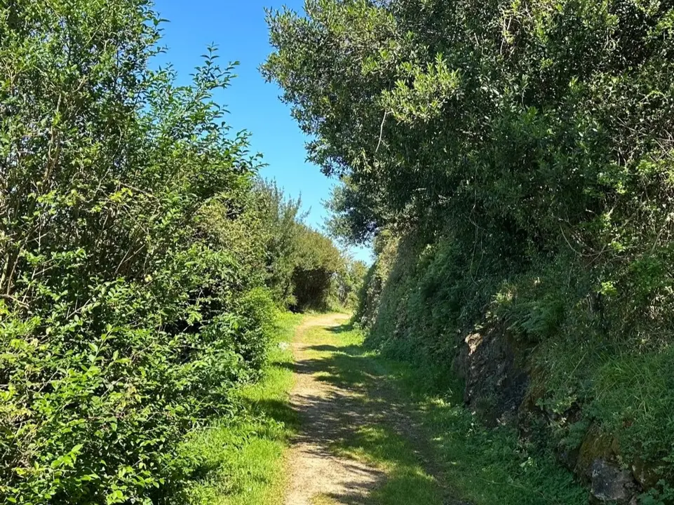 Una de las partes del sendero. / X
