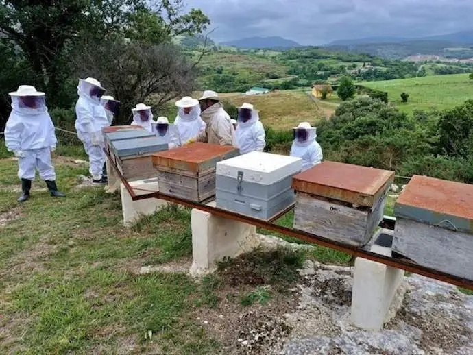 Varias personas en a granja de abejas de Cantabria. / C.C.N