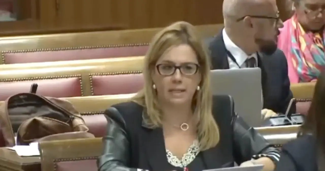 Elena Castillo, senadora del PP por Cantabria durante la sesi&oacute;n de hoy en el Congreso. / A.E.