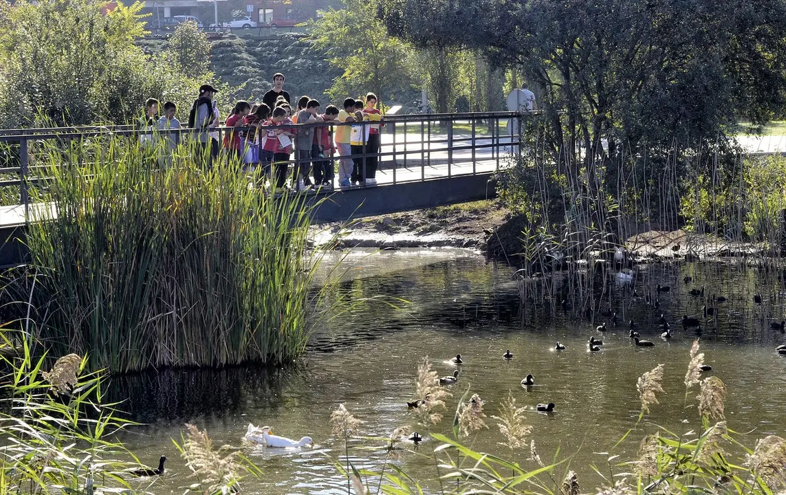 Vista del parque de Las Llamas. / Alerta