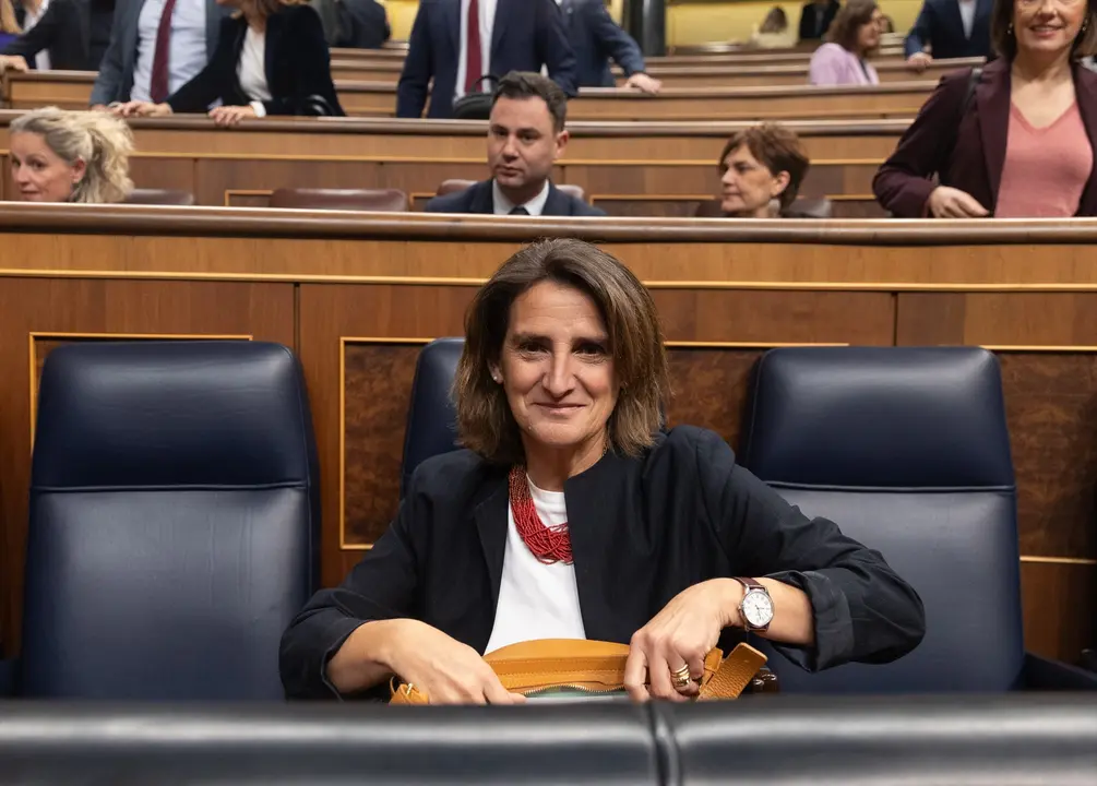 La vicepresidenta tercera y ministra para la Transici&oacute;n Ecol&oacute;gica, Teresa Ribera. / Eduardo Parra