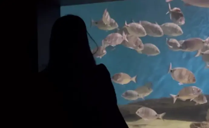 Una persona en el Museo mar&iacute;timo. RRSS