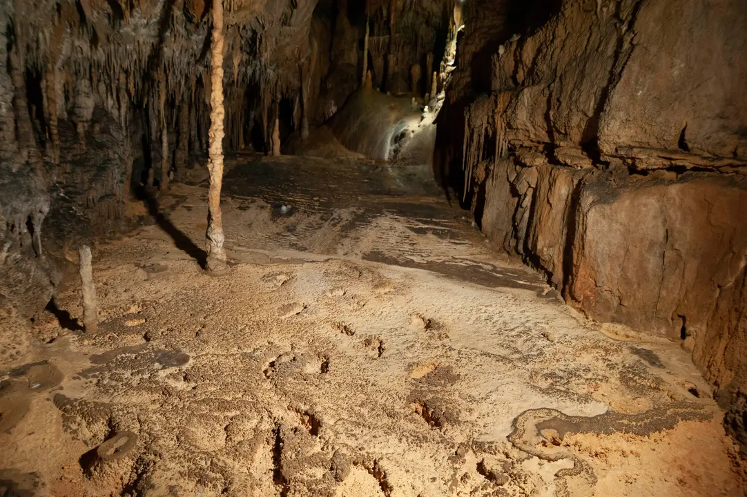 Huellas de pisadas humanas -del hombre del Paleol&iacute;tico- descubiertas en una galer&iacute;a de la cueva c&aacute;ntabra de La Garma. / A.E. / Archivo