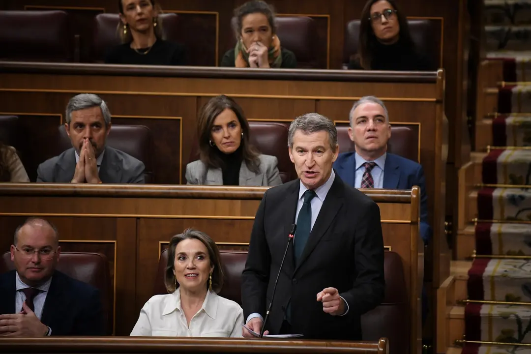 El presidente del PP, Alberto N&uacute;&ntilde;ez Feij&oacute;o, interviene durante una sesi&oacute;n de control al Gobierno en el Congreso de los Diputados. / Fernando S&aacute;nchez
