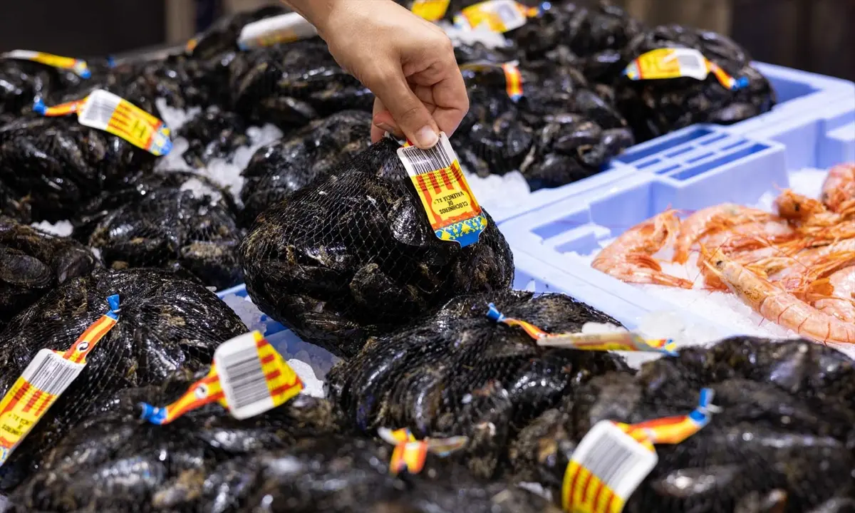 La secci&oacute;n de pescader&iacute;a de Mercadona. / Mercadona