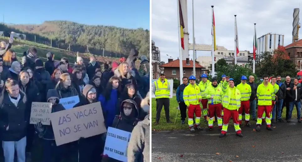 A la izquierda, manifestantes defendiendo las vacas del refugio La Manada C&aacute;ntabra en Escobedo de Camargo. A la derecha, trabajadores de Katoen Natie en huelga frente a Solvay en Barreda, reclamando mejoras laborales. Un contraste que invita a reflexionar sobre las prioridades sociales.