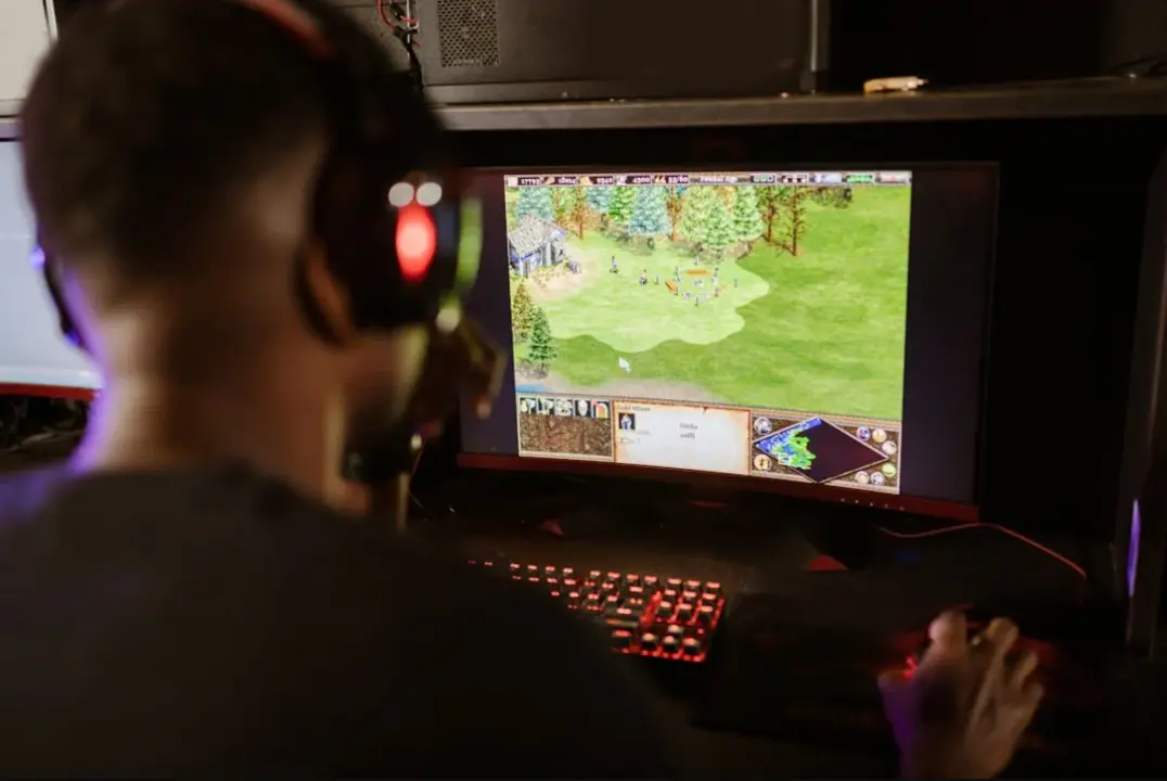 Una persona jugando en su ordenador. / A.P.