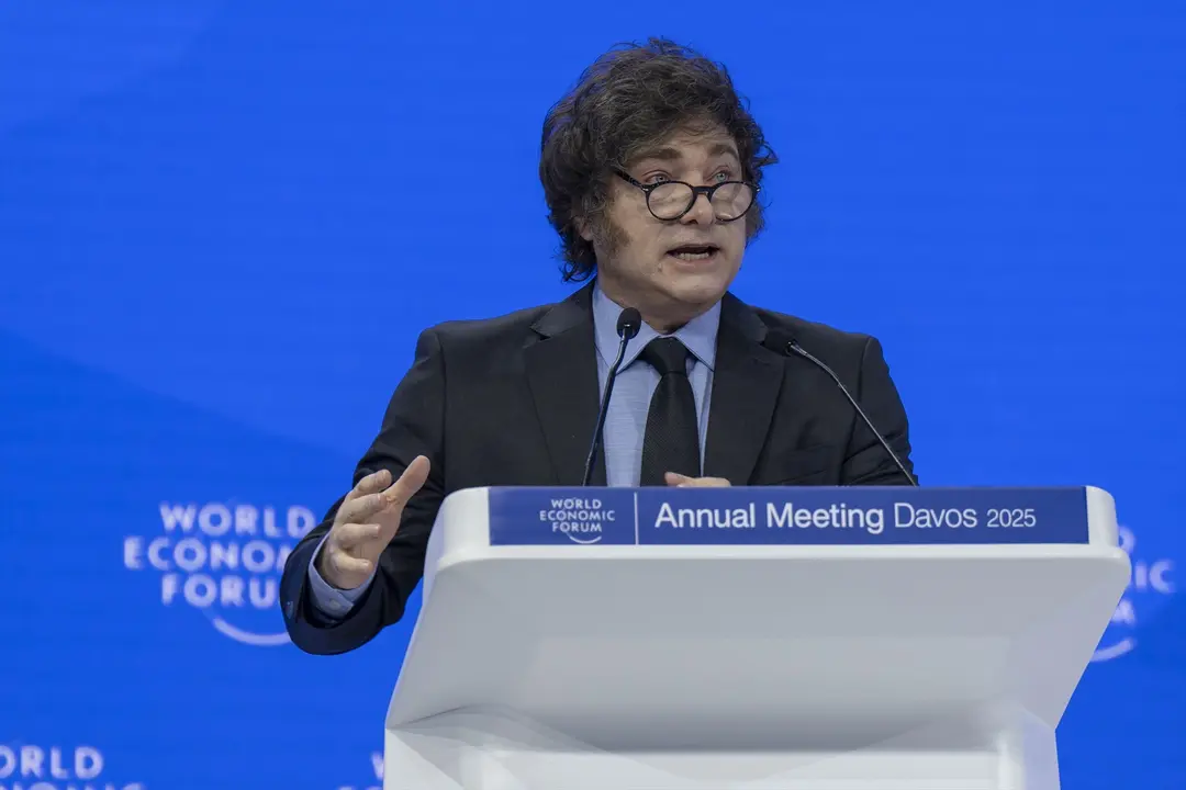Javier Milei durante su intervenci&oacute;n en Davos. / Gabriel Lado