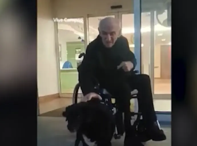El perro en su llegada a la residencia. / Tiktok