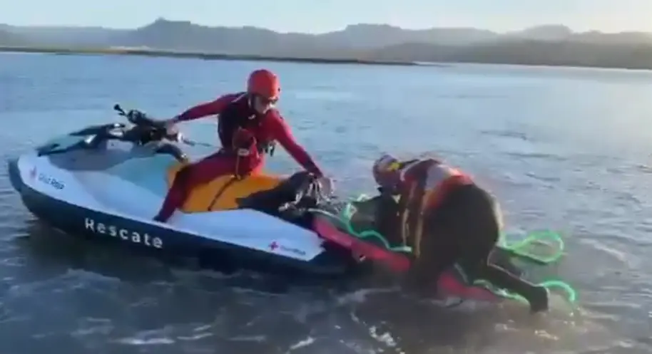 Los servicios de rescate junto al delf&iacute;n. / G.C