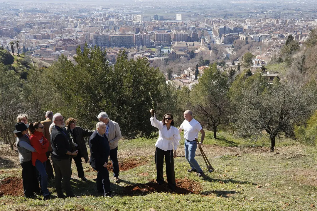 Las actrices Maribel Verd&uacute;, Leonor Watling y Aitana S&aacute;nchez-Gij&oacute;n participan en una plantaci&oacute;n de encinas en Granada. / &Aacute;LEX C&Aacute;MARA