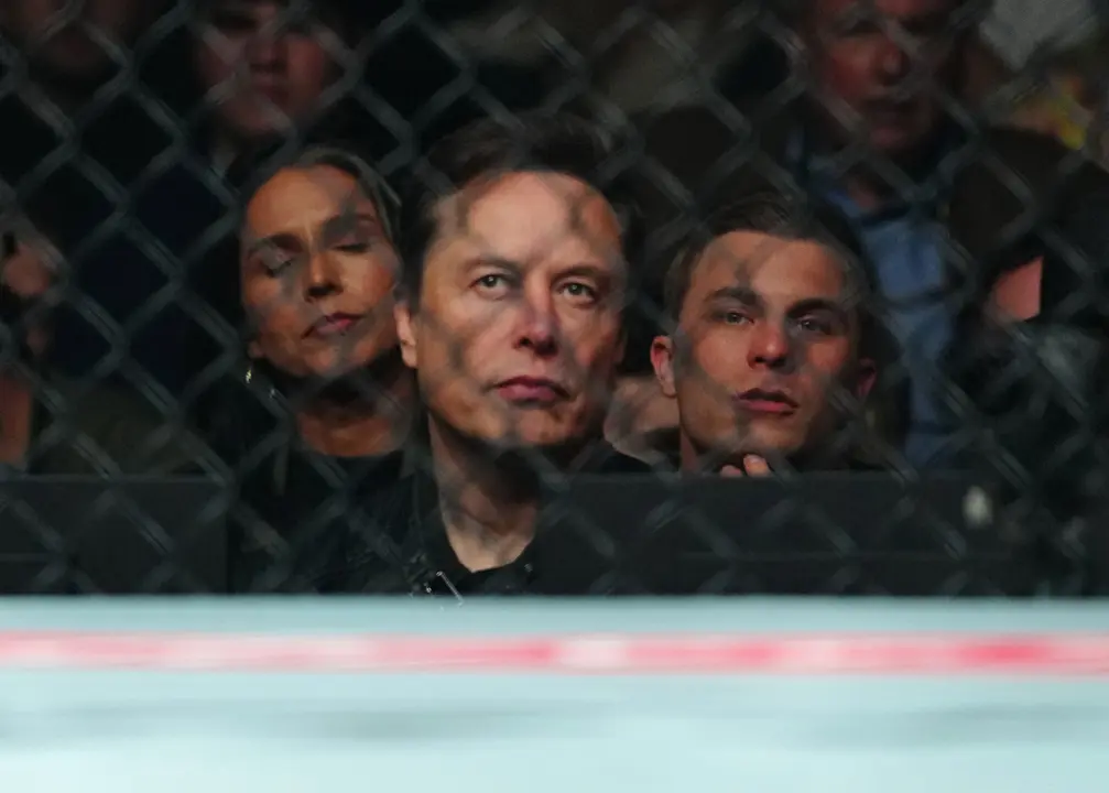 Elon Musk en una pelea de la UFC. / Louis Grasse