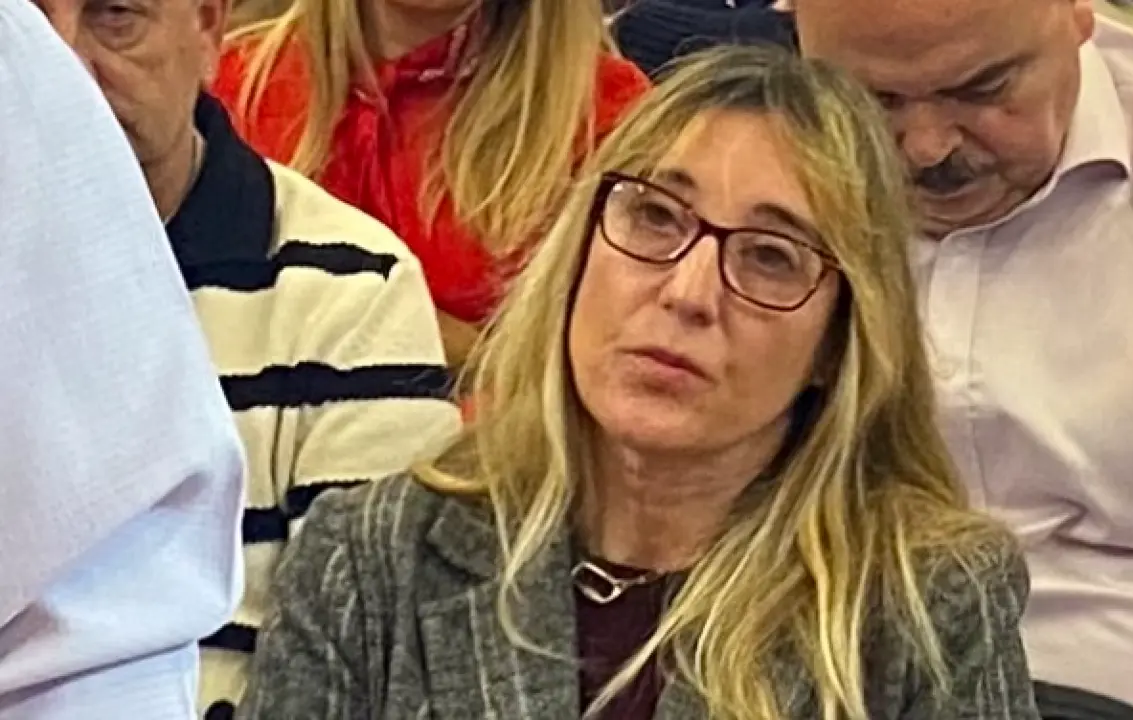 Eugenia G&oacute;mez de Diego, delegada del Gobierno en Cantabria.  / ALERTA