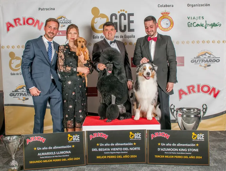 El Top 3 de la I Gala de Criadores de Espa&ntilde;a. / G.C.E.