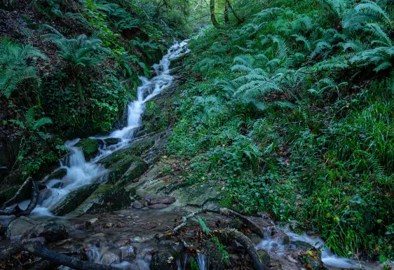 Barranco del Diablo, parque natural del Saja-Besaya, Cantabria. / A.S.