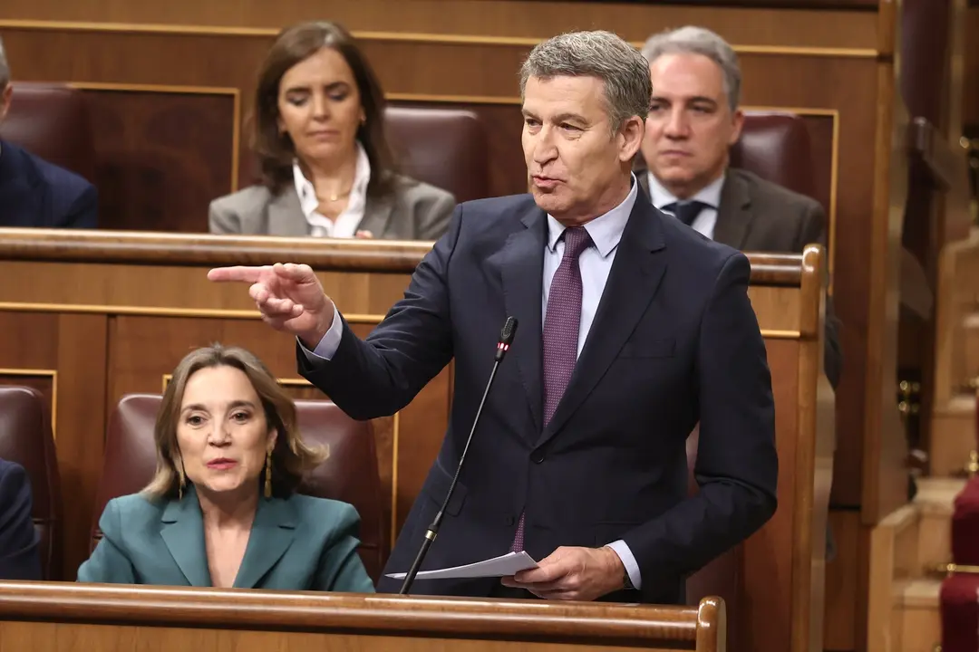 El presidente de VOX, Alberto N&uacute;&ntilde;ez Feij&oacute;o, interviene durante una sesi&oacute;n de control, Congreso de los Diputados. / Eduardo Parra