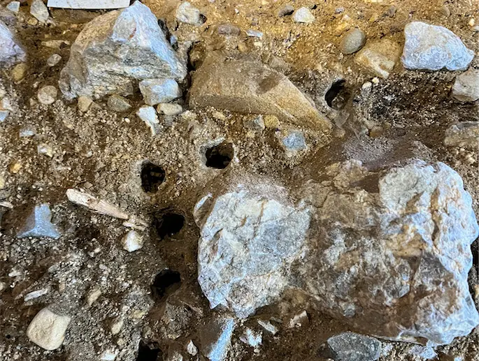Detalle de los sedimentos muestreados en la Cueva de El Mir&oacute;n. / Pere Gelabert / UC