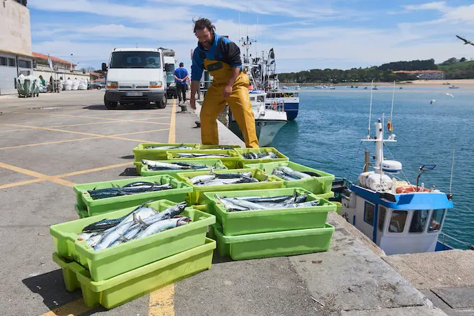 Un hombre y cajas de pescado en las inmediaciones donde est&aacute; amarrado un barco gallego del que un pescador cay&oacute; al mar y se encuentra desaparecido, durante un dispositivo de b&uacute;squeda en el puerto de San Vicente de la Barquera, a 25 de abril de 2023, en San Vicente de la Barquera, Cantabria (Espa&ntilde;a). Salvamento Mar&iacute;timo ha activado a primera hora de hoy la b&uacute;squeda de un pescador de un barco gallego desaparecido al caer al mar a cinco millas al norte de San Vicente de la Barquera. El pescador se encontraba faenando a bordo del barco 'Novo Xoel', con base en Camari&ntilde;as (La Coru&ntilde;a) cuando cay&oacute; al agua. El hombre llevaba puesto el chaleco salvavidas y ropa de agua, de acuerdo con la informaci&oacute;n facilitada desde el pesquero del que era tripulante.
25 ABRIL 2023;MAR;SAN VICENTE DE LA BARQUERA;DISPOSITIVO;B&Uacute;SQUEDA;SALVAMENTO MAR&Iacute;TIMO
C&eacute;sar Ortiz / Europa Press
(Foto de ARCHIVO)
25/4/2023