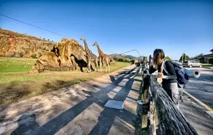 Recinto de las jirafas de Cab&aacute;rceno. / A.E.