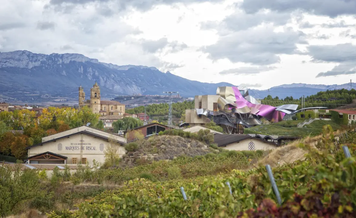 Vista del pueblo de Elciego y una de las bodegas de vino ubicadas en el pueblo. / Redes sociales