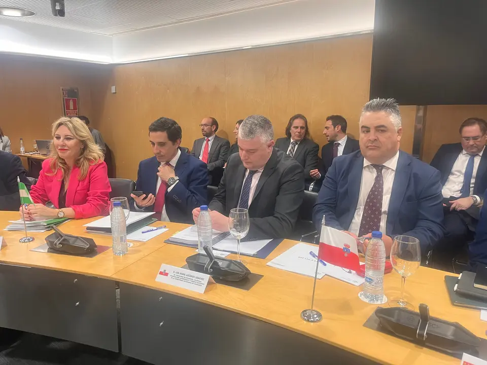 El consejero de Econom&iacute;a, Luis &Aacute;ngel Ag&uuml;eros, durante la reuni&oacute;n. / A.E.