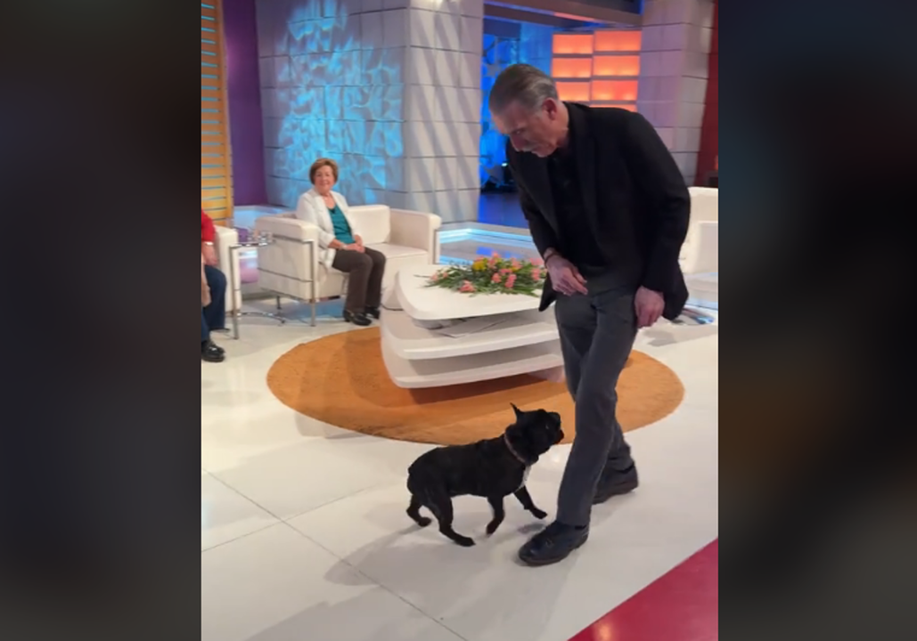 Juan y Medio trat&oacute; de jugar con el perro, quien reaccion&oacute; con celos. / TikTok