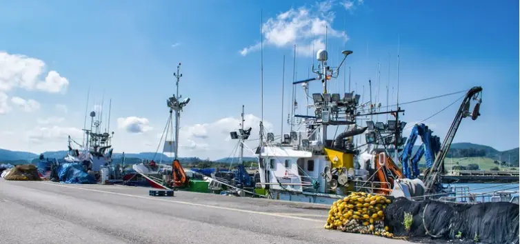Barcos pesqueros amarrados en el puerto de Santo&ntilde;a. / A.S.