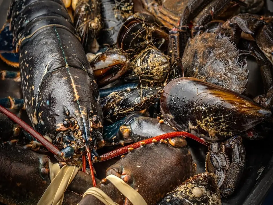 Una de las mariscadas que prepara el restaurante. / IG