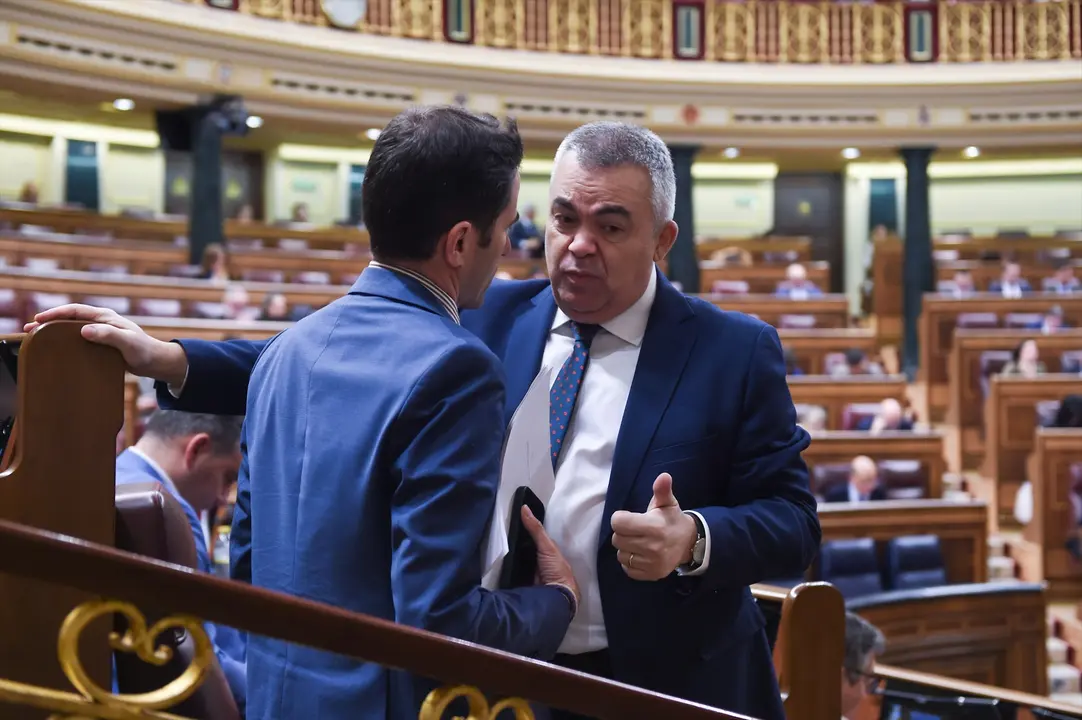 El secretario de Organizaci&oacute;n del PSOE, Santos Cerd&aacute;n(d), durante una sesi&oacute;n plenaria en el Congreso de los Diputados. / Gustavo Valiente