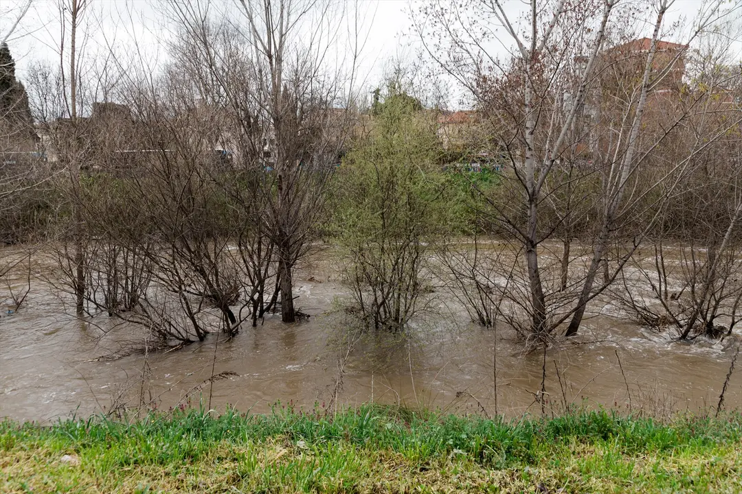 El cauce del r&iacute;o Manzanares en el d&iacute;a de ayer. / Carlos Luj&aacute;n
